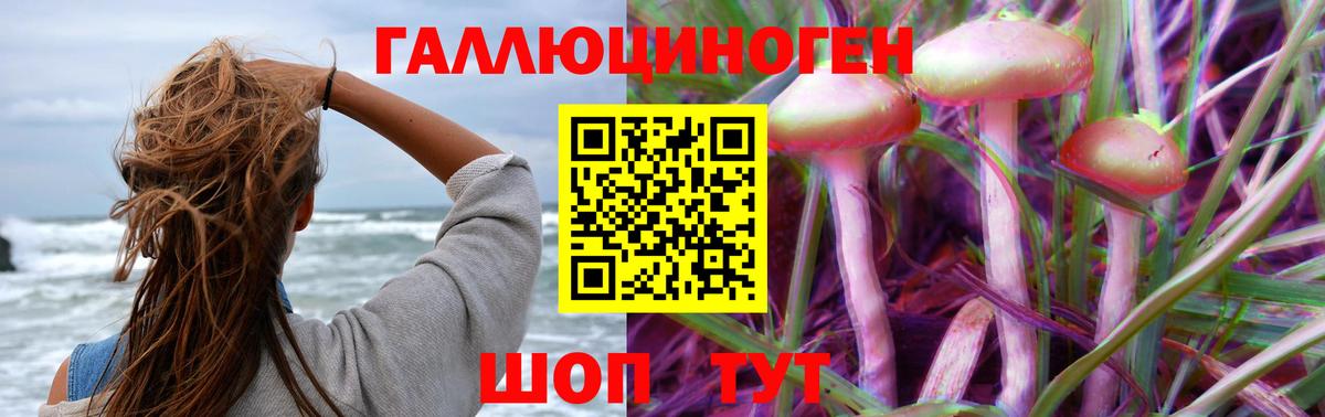 Псилоцибиновые грибы прущие грибы  Вход с VPN  Псилоцибиновые грибы Psilocybine cubensis  Ленинск-Кузнецкий 